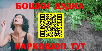 сатива Кимры